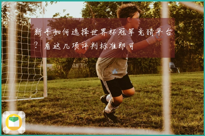 新手如何选择世界杯冠军竞猜平台？看这几项评判标准即可