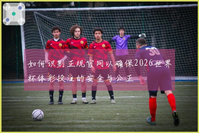 如何识别正规官网以确保2026世界杯体彩投注的安全与公正