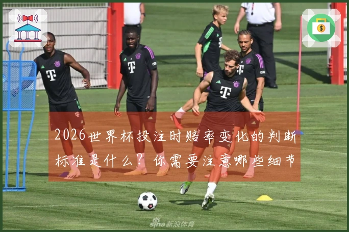 2026世界杯投注时赔率变化的判断标准是什么？你需要注意哪些细节？
