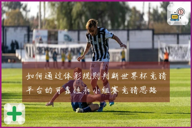 如何通过体彩规则判断世界杯竞猜平台的可靠性和小组赛竞猜思路