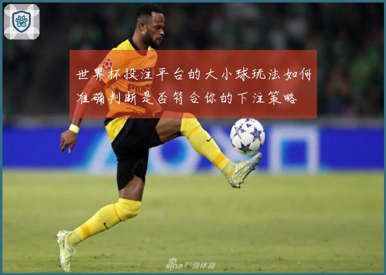 世界杯投注平台的大小球玩法如何准确判断是否符合你的下注策略